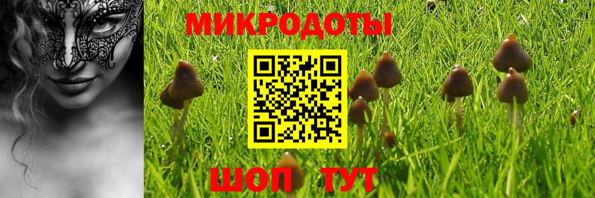 Галлюциногенные грибы ЛСД Пенза